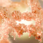 New obesity discovery rewrites decades of fat science