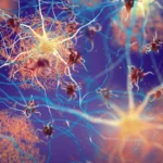 Boosting one protein helps the brain fight Alzheimer’s