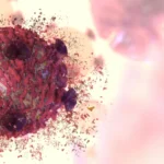 A rare cancer-fighting plant compound has been decoded