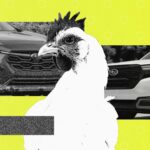 Three Percent Of Subaru Owners Haul Chickens