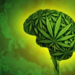 Huge study finds no evidence cannabis helps anxiety, depression, or PTSD