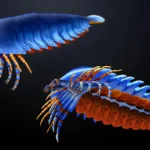 This tiny claw in a 500-million-year-old fossil just rewrote the origin of spiders