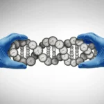 Scientists were wrong about lifespan. Your genes matter way more than we thought