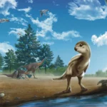 Scientists found a baby dinosaur hidden in rock and it is surprisingly cute