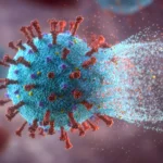 Scientists find natural compounds that hit COVID-19 from every angle