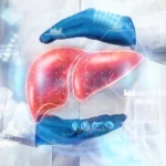 Scientists reversed liver aging with young gut bacteria in stunning study