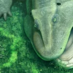 This 275-million-year-old animal had a twisted jaw like nothing alive today