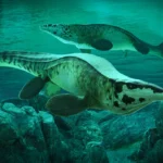 Scientists discover giant sea predator Tylosaurus rex that terrorized ancient oceans