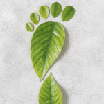 CLEAN SPACES, SMALLER FOOTPRINTS | News