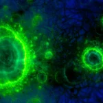 Scientists stunned by signs of ancient life in a place no one expected