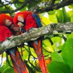 The Ultimate Travel Checklist for Planning Costa Rica Holidays | News