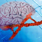 New Alzheimer’s drug repairs DNA damage and reduces brain inflammation