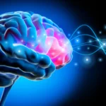 Scientists discover a hidden brain rhythm that could improve Parkinson’s treatment