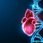 1 in 5 people may carry this hidden genetic heart risk