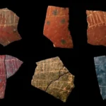 60,000-year-old ostrich eggshell engravings reveal a surprisingly sophisticated human mind