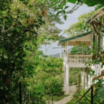 Hadco Experiences Welcomes Visitors to Explore a New Side of Trinidad and Tobago | News